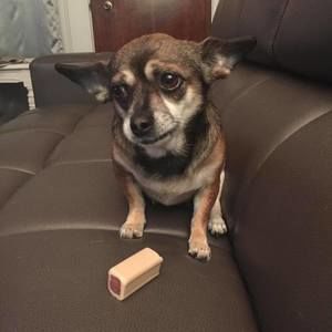 Meet your Posher, Alecs